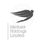 medusa holdings logo